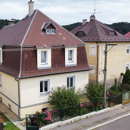 Pension U Stastnych Mariánské Lázně المظهر الخارجي الصورة